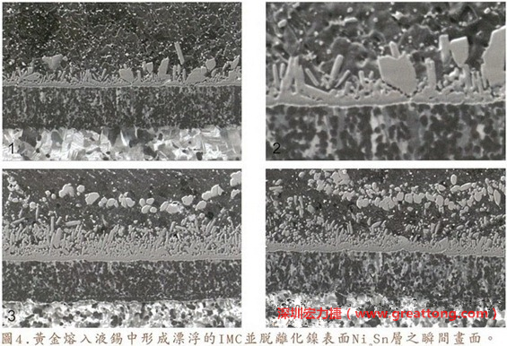 下面四張圖片為放大4500倍的SEM圖像，說明在回流焊爐熱量不足的情況下，黃金成份正要從鎳層分離融入焊錫之中的瞬間，當零件遭受外力沖擊的時候就極有可能從這一整排AuSn、、AuSn2或AuSn4的IMC處裂開。